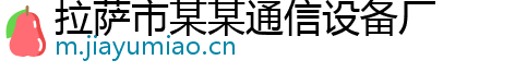 拉萨市某某通信设备厂